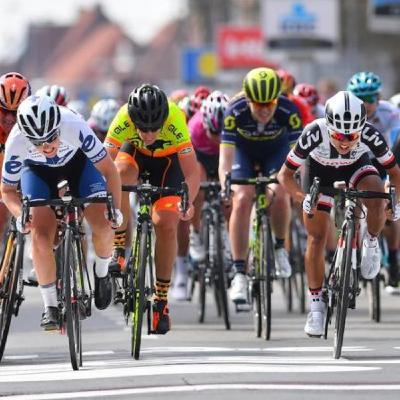 8. Erreleboa | Urteko bigarren monumentua badator 8. Erreleboa | Urteko bigarren monumentua badator