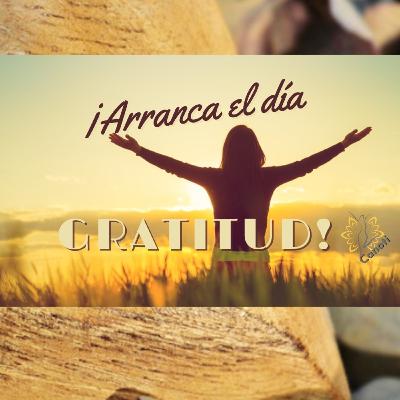 Como convertir el agradecimiento en un hábito? Como convertir el agradecimiento en un hábito?