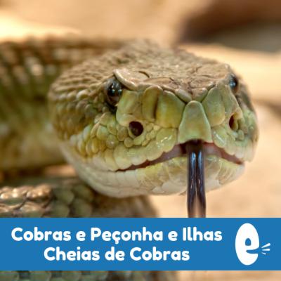 Cultural Portuguese 021: Cobras e uma Ilha Cheia Delas