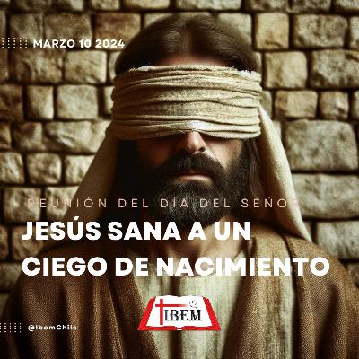 Serie del Evangelio de Juan: "Jesús sana a un ciego de nacimiento" (Cap. 9 Vers. 1 al 12). Serie del Evangelio de Juan: "Jesús sana a un ciego de nacimiento" (Cap. 9 Vers. 1 al 12).