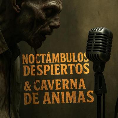 LA VOZ DEL MISTERIO: ENTREVISTA A CAVERNA DE ÁNIMAS - #029 Noctámbulos Despiertos con Melín