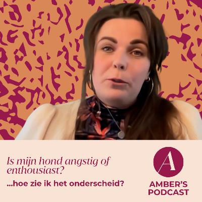 Is mijn hond angstig of enthousiast? Hoe zie ik het onderscheid? #162 Is mijn hond angstig of enthousiast? Hoe zie ik het onderscheid? #162
