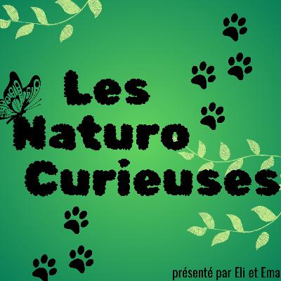 Les animaux se droguent-ils ?