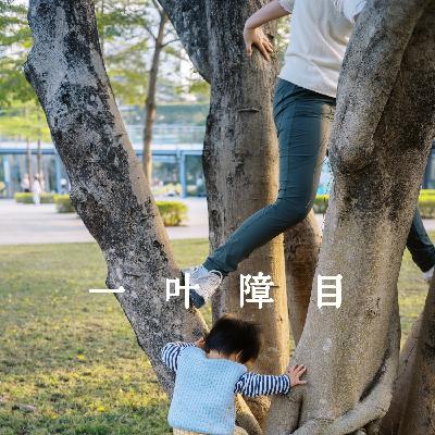 20 总结下拖更（带娃）一年多的书、影和展览