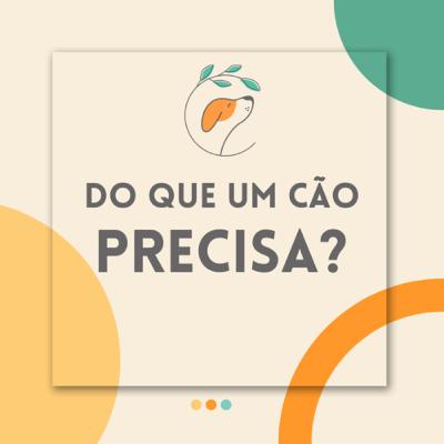 #EP 13 - Do que um cão precisa? #EP 13 - Do que um cão precisa?