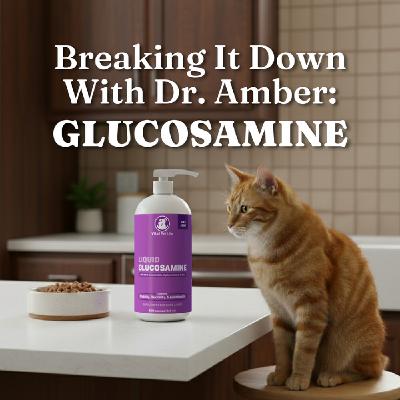 Breaking It Down with Dr. Amber: Glucosamine