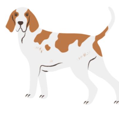 Feeding dogs is NOT criminal! लॉ वार्ता #13