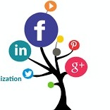 What Are the Benefits of hiring social media optimization agency?
