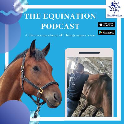 All about Equine Touch with Equine Touch Practitioner Harriet Fortune