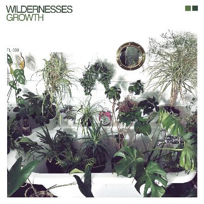 ALBUM REVIEW: Wildernesses - Growth