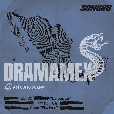 3. WALLACE - La banda.