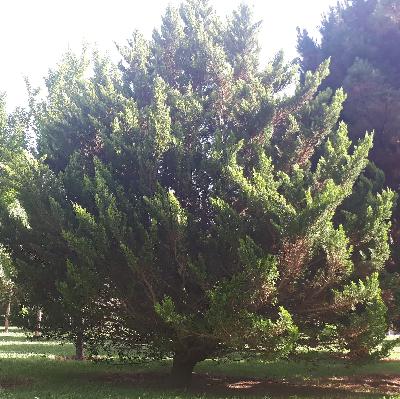 صبحانه در آبشار صبحانه در آبشار