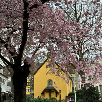 35. 一人一人がまちのためにできること