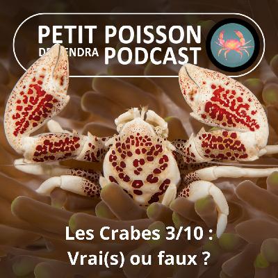 S04E33 Les Crabes : Les vrais... et les faux