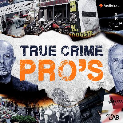 Zomerse luistertips: True Crime boeken voor de vakantie ☀️