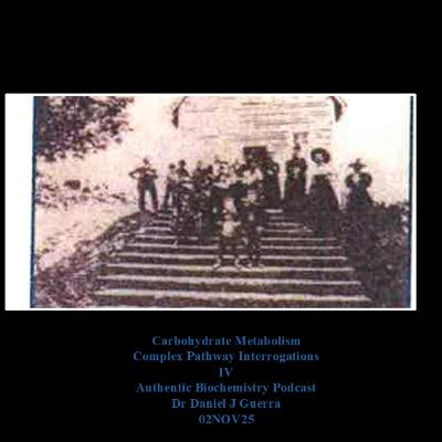 Carbohydrate Metabolism Complex Pathway Interrogations IV Authentic Biochemistry Podcast Dr Daniel J Guerra 02NOV25