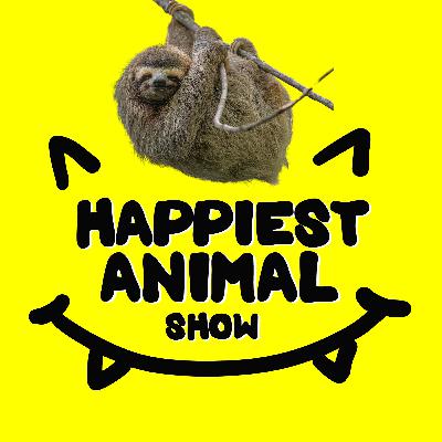 Cute Animals (with 9 year old Maggie)