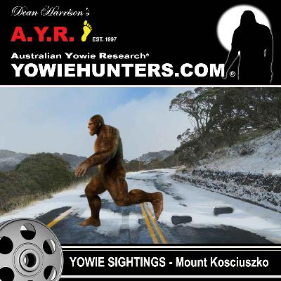 Yowie Sighting at Mount Kosciuszko, New South Wales in 2008