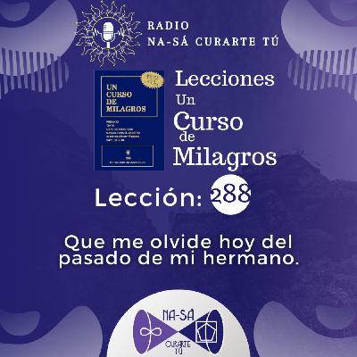 Lección 288 - UCDM - Que me olvide hoy del pasado de mi hermano