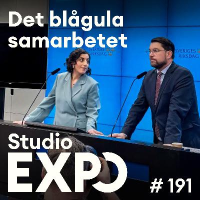 191. Det blågula samarbetet