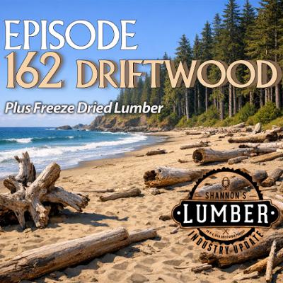 162 - Driftwood 162 - Driftwood