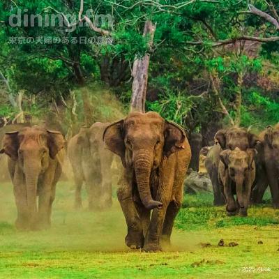 144. スリランカが気になる🇱🇰