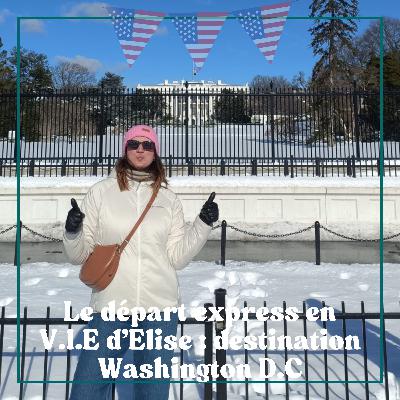 #9 Le départ express en V.I.E d'Elise : destination Washington D.C.