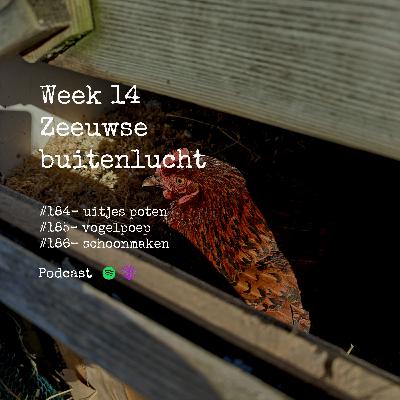 Week 14: schoonmaken