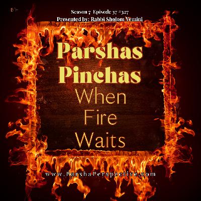Parshas Pinchas: When Fire Waits