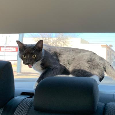 SUPER COOL 😩😩 SUPER COOL 😩😩