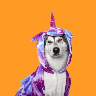 EP39 :: Humanizar os pets: carinho ou risco?