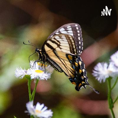 1932.国务院释放减税“大礼包”,促进工业和困难服务业平稳增长-2022-02-16 1932.国务院释放减税“大礼包”,促进工业和困难服务业平稳增长-2022-02-16