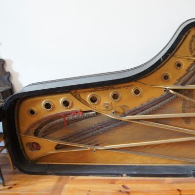 Katarzyna Michalak "Śpiący fortepian" Katarzyna Michalak "Śpiący fortepian"