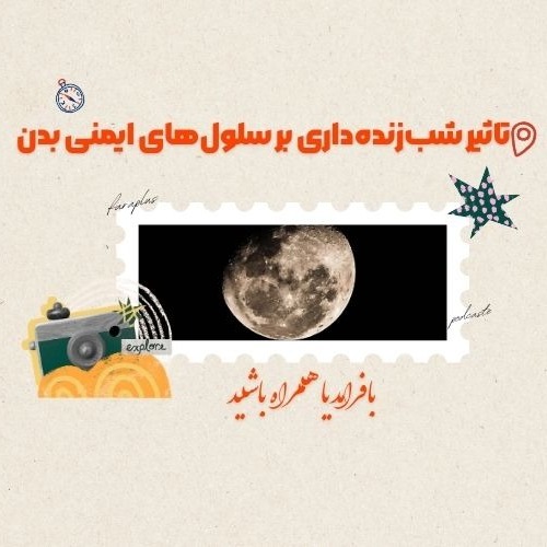 تاثیر شب‌زنده‌داری بر سلول‌های ایمنی بدن