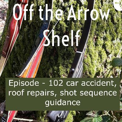 Episode - 102 car accident, roof repairs, shot sequence guidance