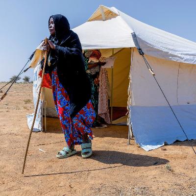 Sudanese refugees build new lives in Chad as war displaces millions