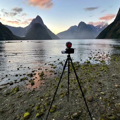 Update After New Zealand