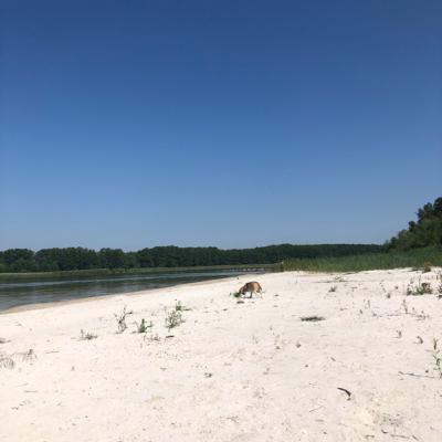 Der Strand-Podcast