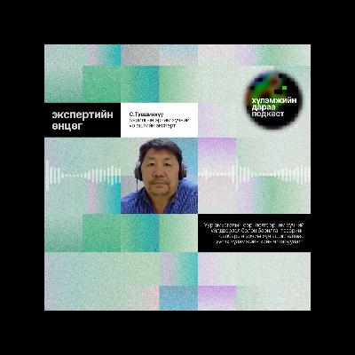 "Экспертийн өнцөг" 1-р ярилцлага: Эксперт С.Түвшинхүү 🟢 Хүлэмжийн дараа подкастын 1-р анги