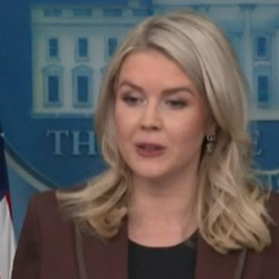 Democrats release Epstein emails, White House slams "fake narrative"