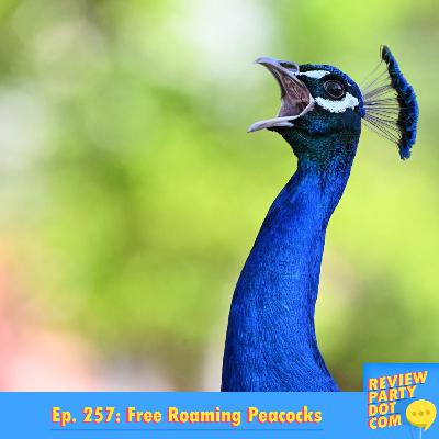 RPDC 257: Free Roaming Peacocks