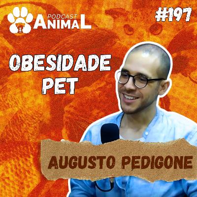 Podcast Animal 197 - Obesidade pet com Augusto Pedigone Podcast Animal 197 - Obesidade pet com Augusto Pedigone