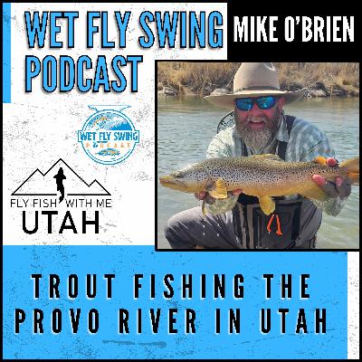 Trout Fishing the Provo River in Utah with Mike O'Brien