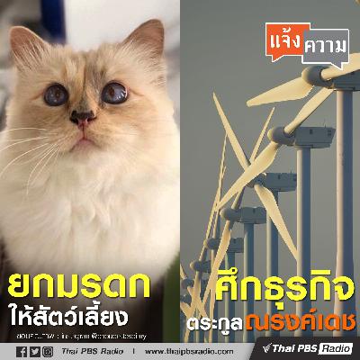 ยกมรดกให้สัตว์เลี้ยง / ศึกธุรกิจตระกูลณรงค์เดช