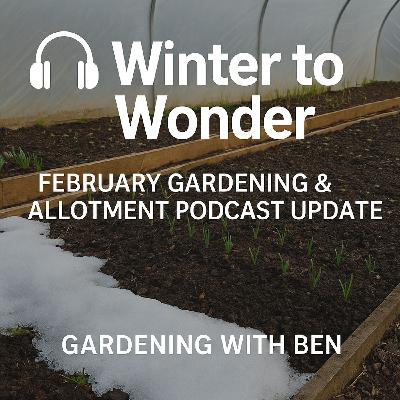 🎧 ❄️ Winter to Wonder: February Gardening & Allotment Podcast Update