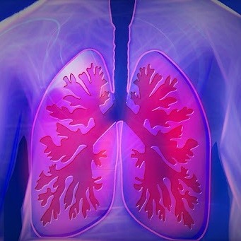 Understanding Chronic Bronchitis and the Treatment Understanding Chronic Bronchitis and the Treatment