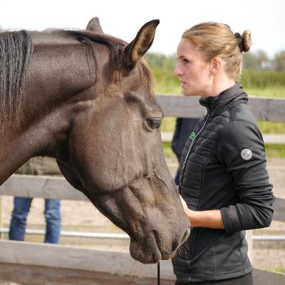 Een paard leren luisteren en leren