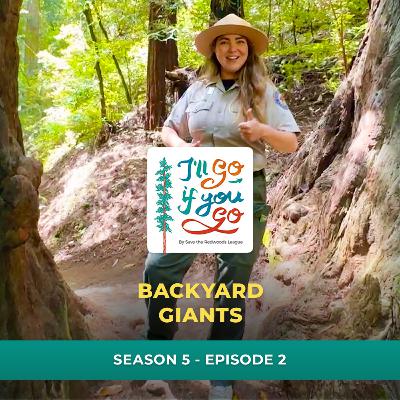 Backyard Giants