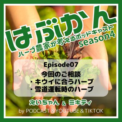 ハーブで解決!⑤キウイに合うハーブ/⑥雪道運転時のハーブ ハーブで解決!⑤キウイに合うハーブ/⑥雪道運転時のハーブ