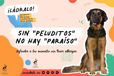 Sin "peluditos" no hay "paraíso"